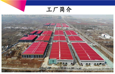 瑞龍環(huán)保咨詢服務(wù) 專業(yè)護航企業(yè)綠色發(fā)展